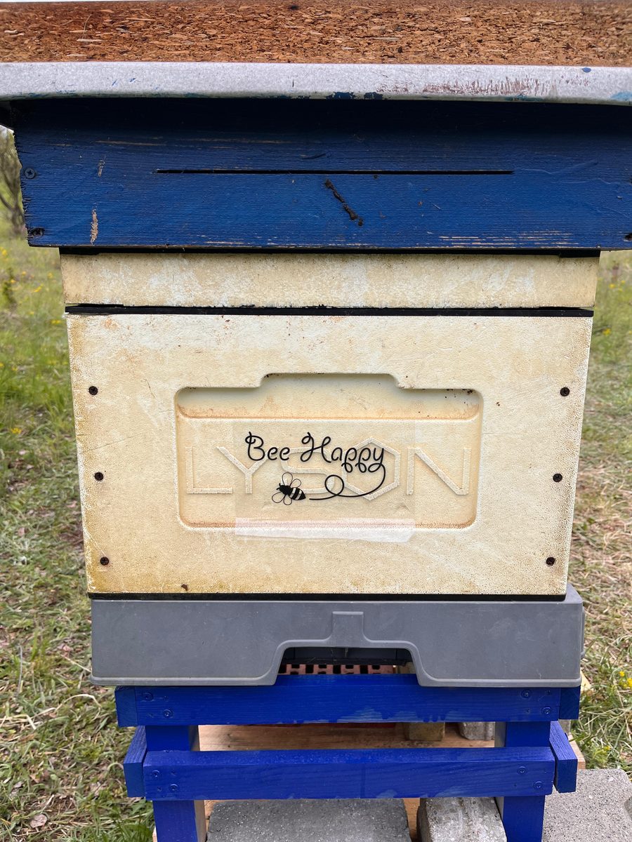 Arnia Lyson Florabella con adesivo Bee Happy nell'apiario di Koziegłowy