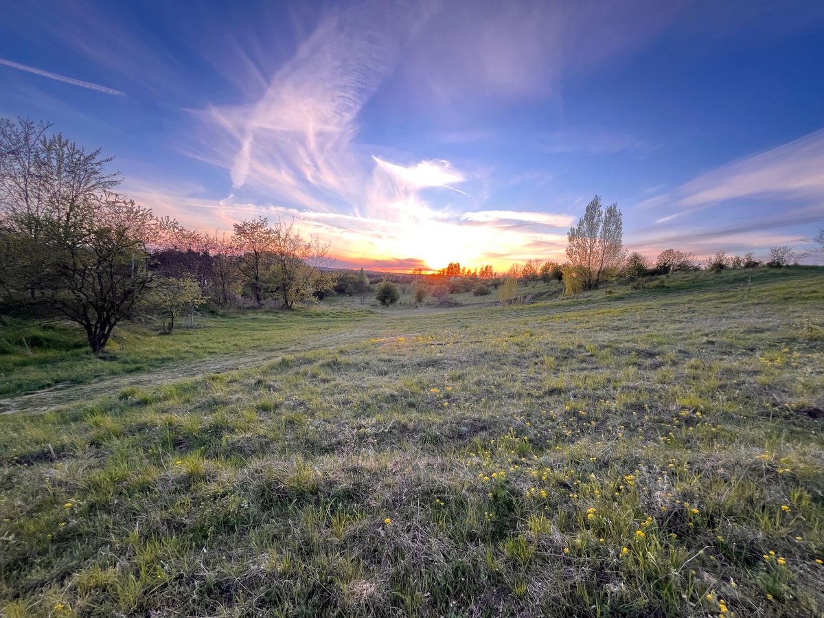 Tramonto sul prato di fiori selvatici dell'apiario Florabella a Koziegłowy