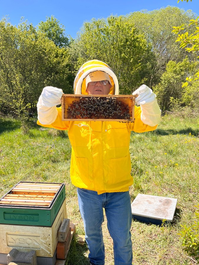 L'apiario Florabella nel prato fiorito di Koziegłowy, Wielkopolska